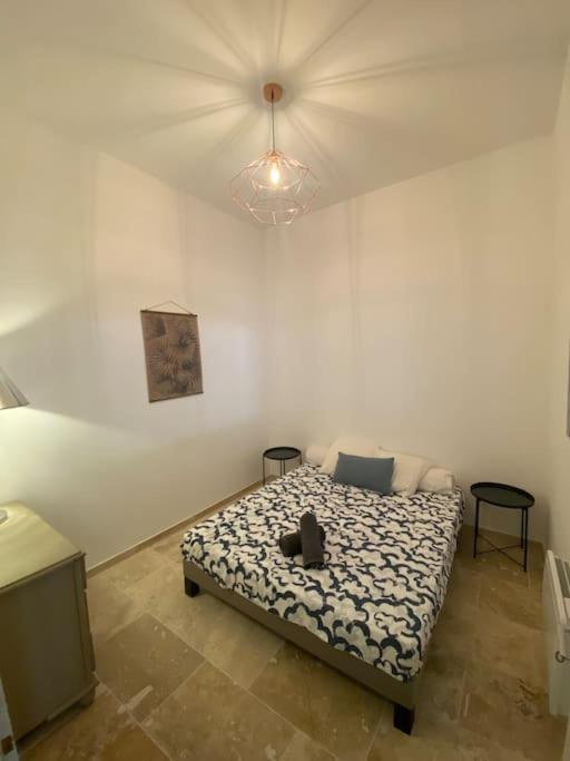 Superbe A 5 Minutes A Pied De La Appartement *
